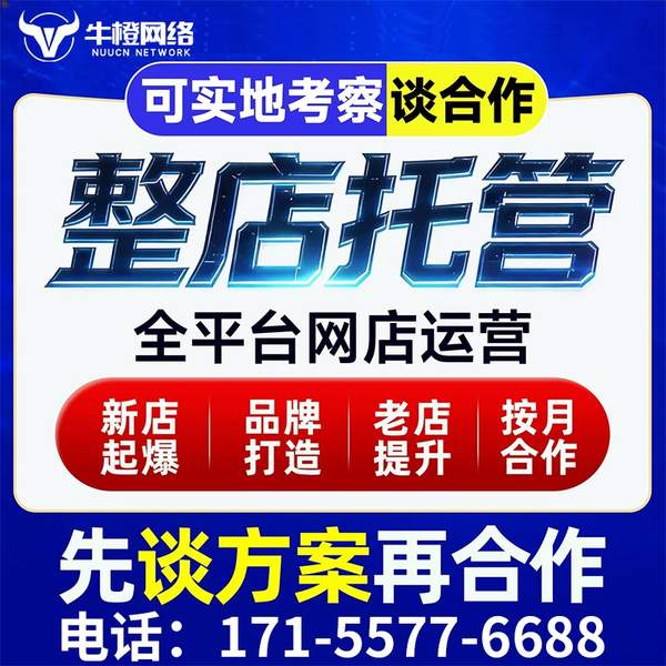 广饶电商代运营